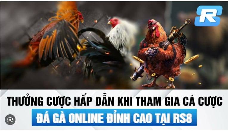 Tìm hiểu về đá gà trực tuyến tại rs8